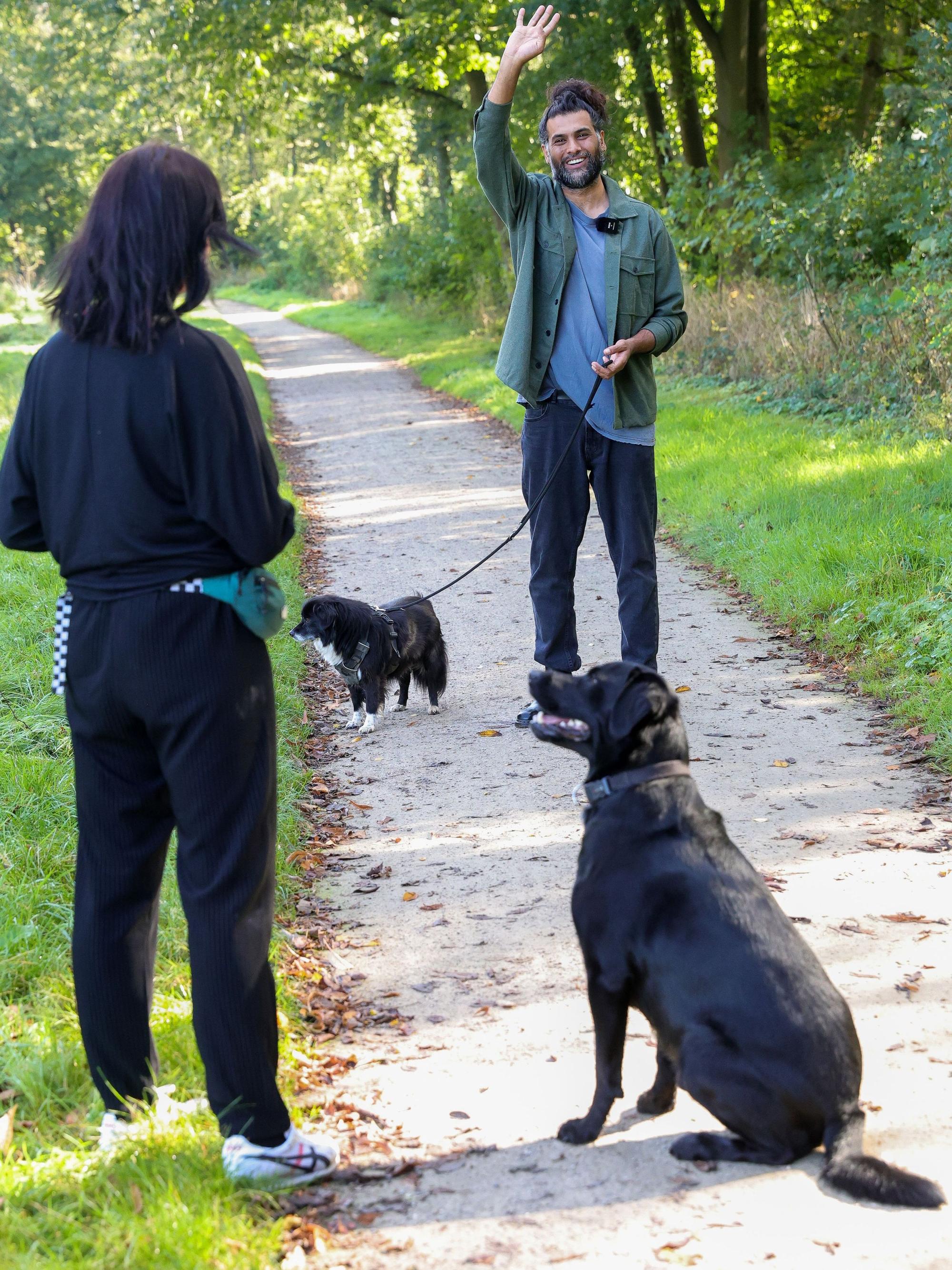 Eine typische Begegnung beim Spaziergang: Ein Hund ist angeleint, der andere nicht.