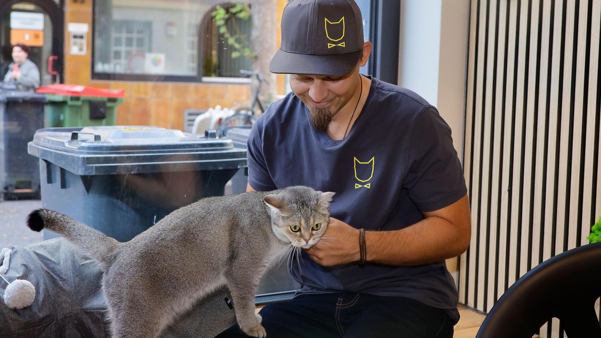 Michael Guddat, Tierpsychologe, Katzensitter und Katzenexperte, mit einer Katze auf den Beinen im Café Katzentempel in der Kölner Severinstrasse.