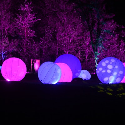 Lila und pink erleuchtet Kugeln liegen auf einer Wiese vor einer Gruppe von Bäumen im Zülpicher Seepark.