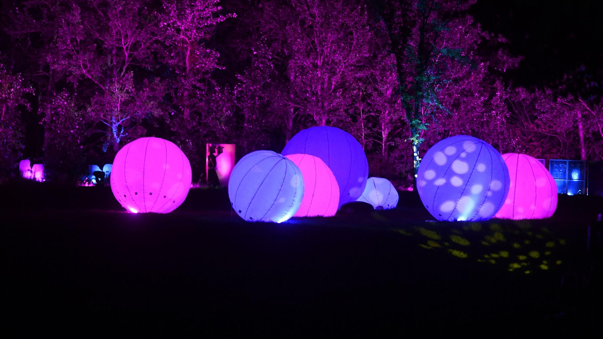 Lila und pink erleuchtet Kugeln liegen auf einer Wiese vor einer Gruppe von Bäumen im Zülpicher Seepark.