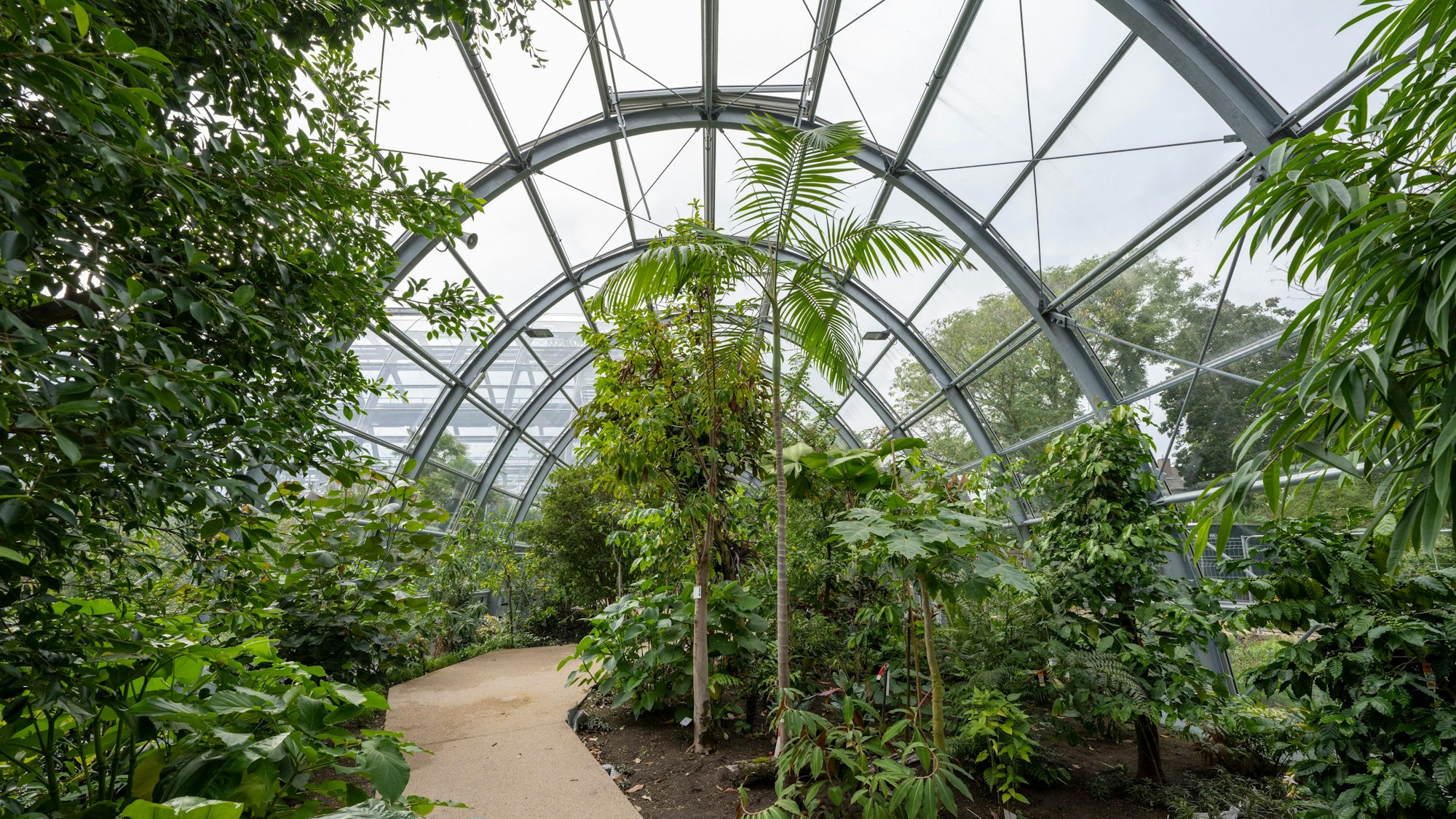 Die Fertigstellung der neuen Schaugewächshäuser musste im Winter 2023 um ein halbes Jahr verschoben werden. (Archivbild)