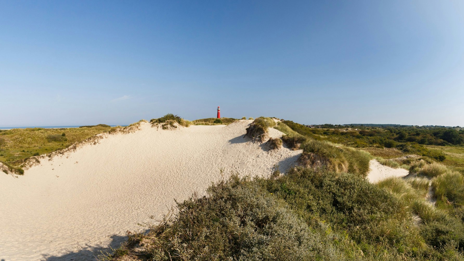 Dünenlandschaft von Schiermonnikoog