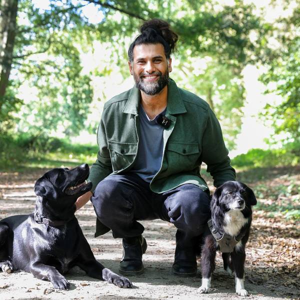 Hunde-Verhaltenstherapeut Masih Samin mit zwei hHunden im Wald.