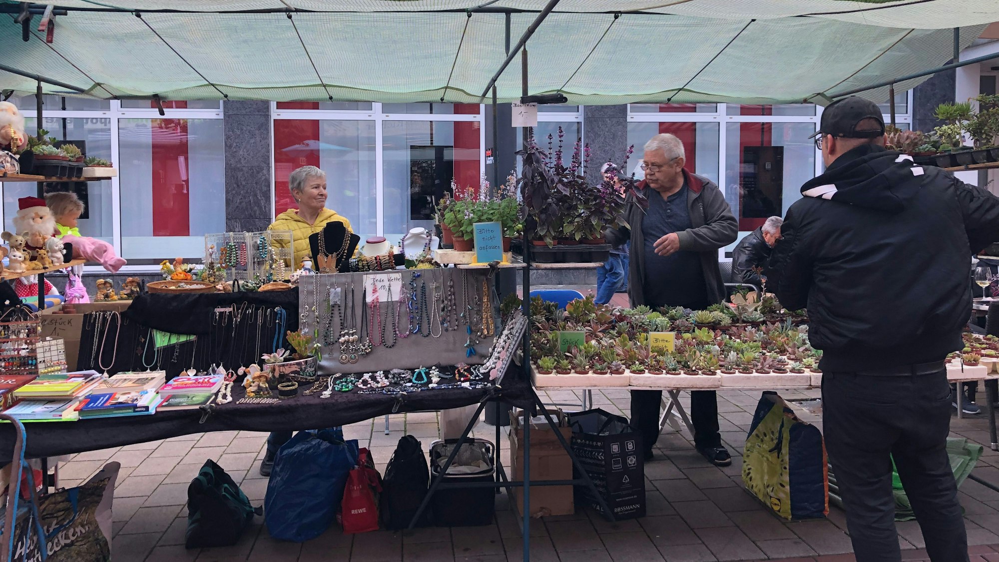 Ehepaar Schnackenbeck verkauft selbstgezüchtete Pflanzen.