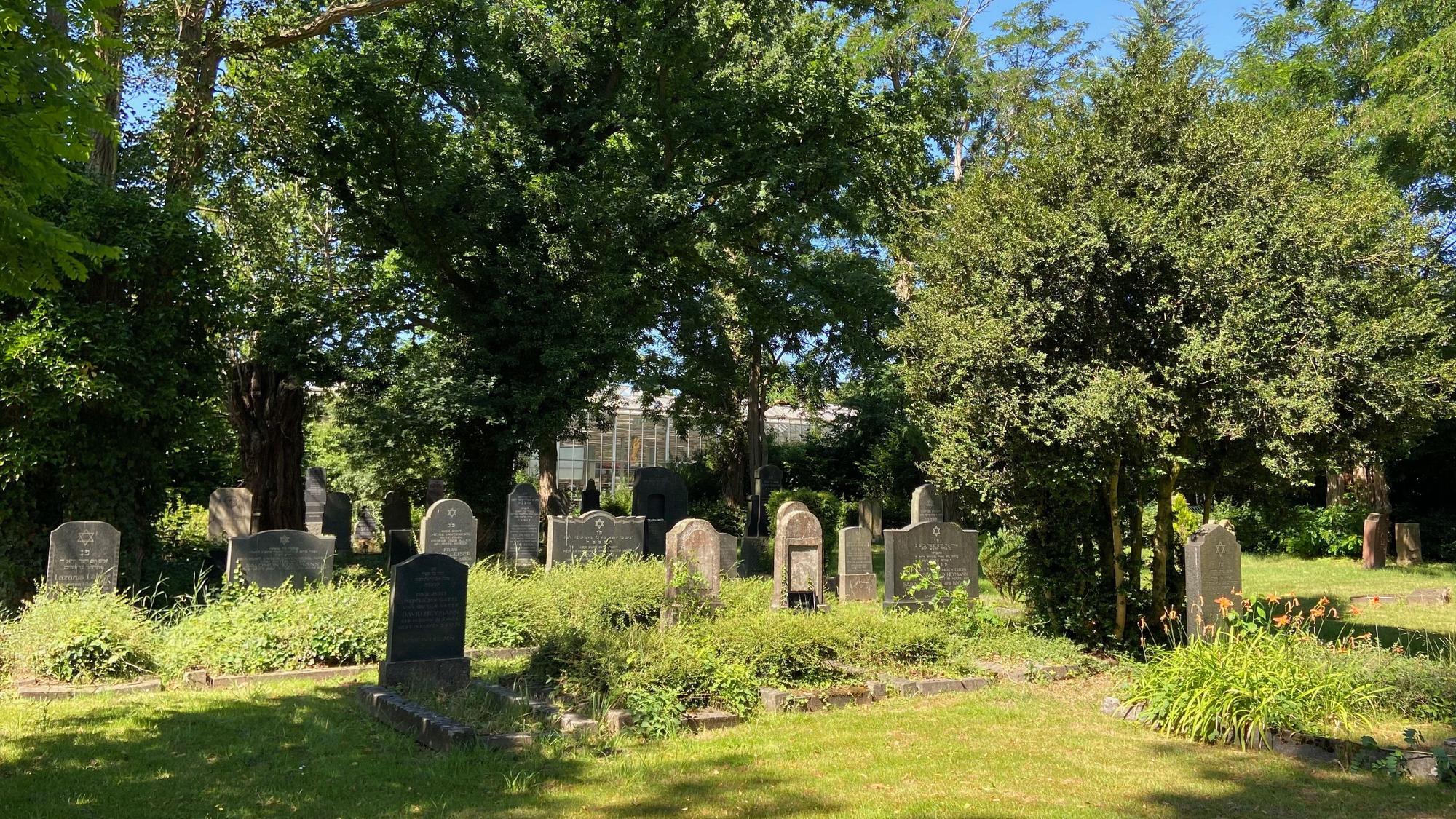 Das Foto zeigt Grabsteine auf dem jüdischen Friedhof in Kerpen.