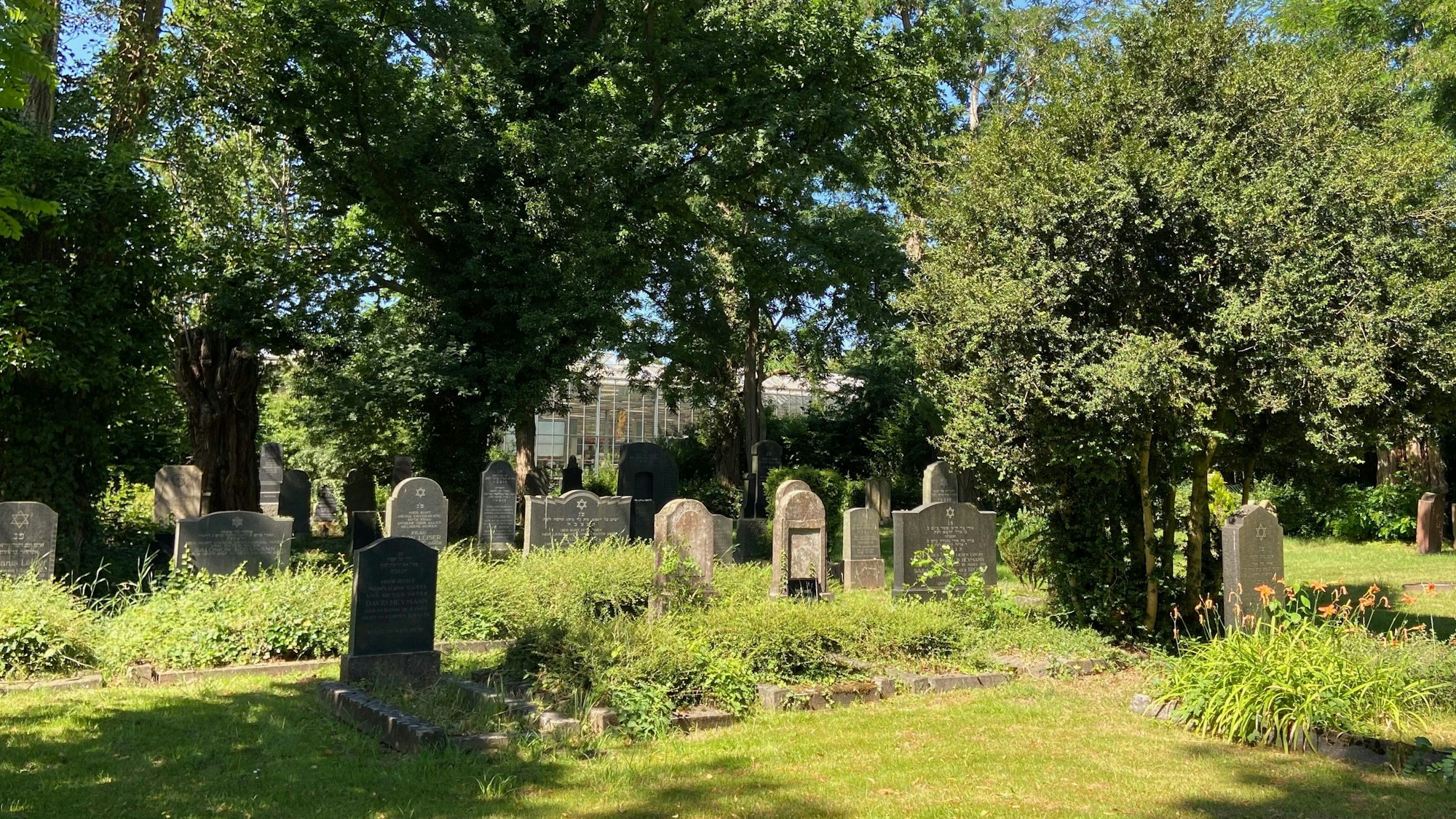 Auf dem Foto sind Grabsteine auf dem jüdischen Friedhof in Kerpen zu sehen.