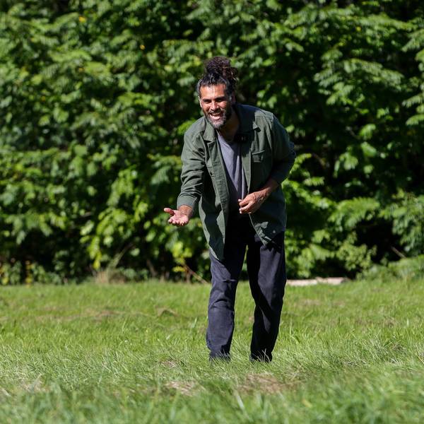 Hunde-Verhaltenstherapeut Masih Samin steht auf einer Wiese und ruft seine Hündin Thea zu sich.