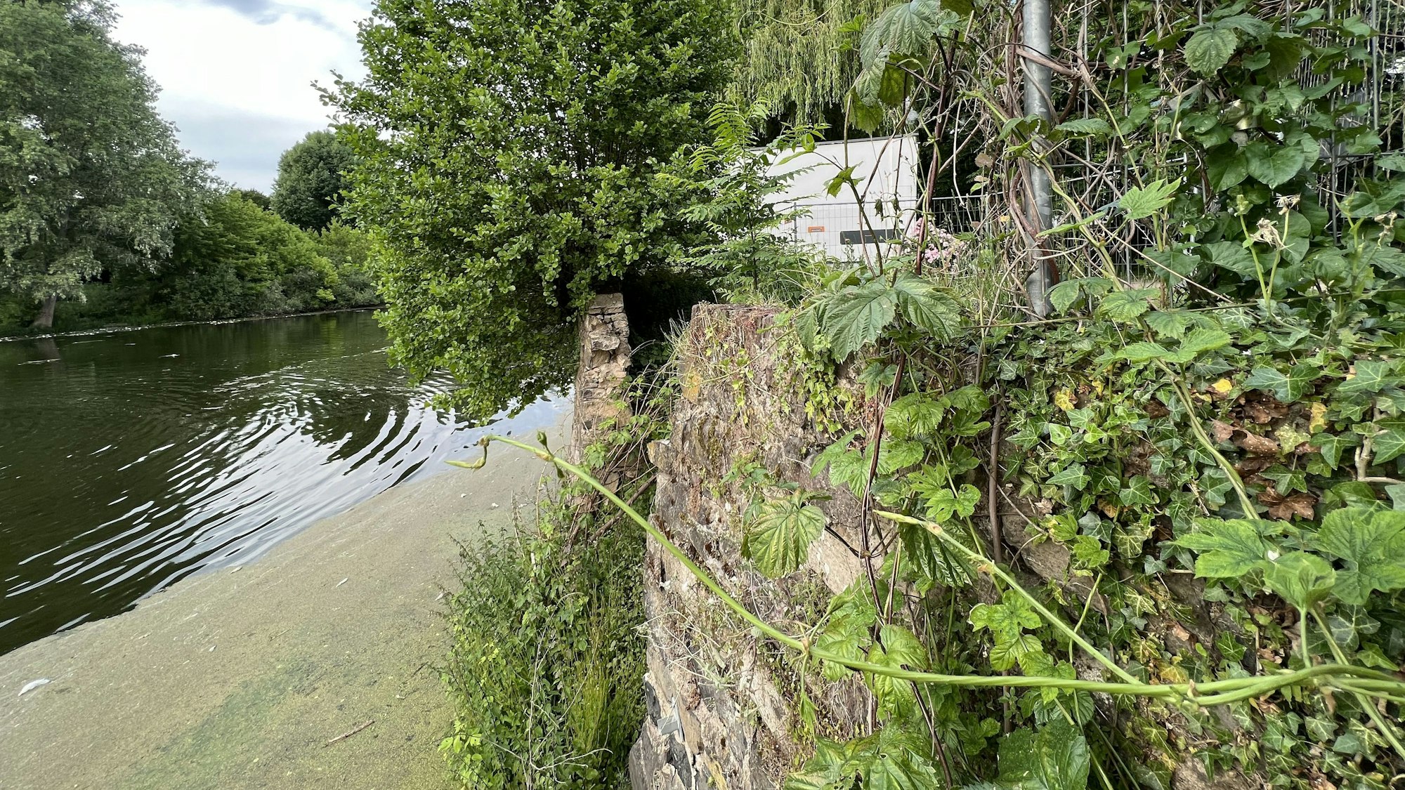 Die Ufermauer an einem der Groov.