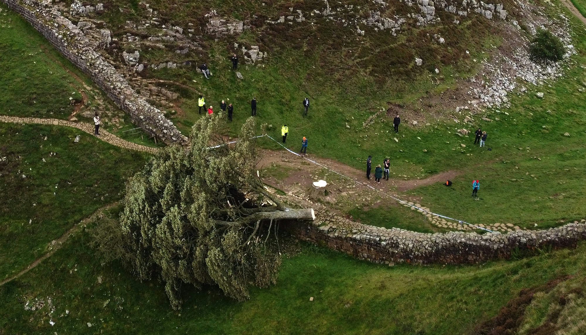 Eine Luftaufnahme zeigt den gefällten Sycamore Gap Baum entlang des Hadrianswalls in der Nähe von Hexham, Nordengland, am 28. September 2023. Einer der meistfotografierten Bäume Großbritanniens, der neben dem Hadrianswall aus der Römerzeit im Nordosten Englands steht, wurde „absichtlich gefällt“, wie die für den örtlichen Nationalpark zuständige Behörde am 28. September 2023 mitteilte. Die örtliche Polizei teilte mit, dass ein Jugendlicher im Zusammenhang mit dem Vorfall verhaftet worden sei.