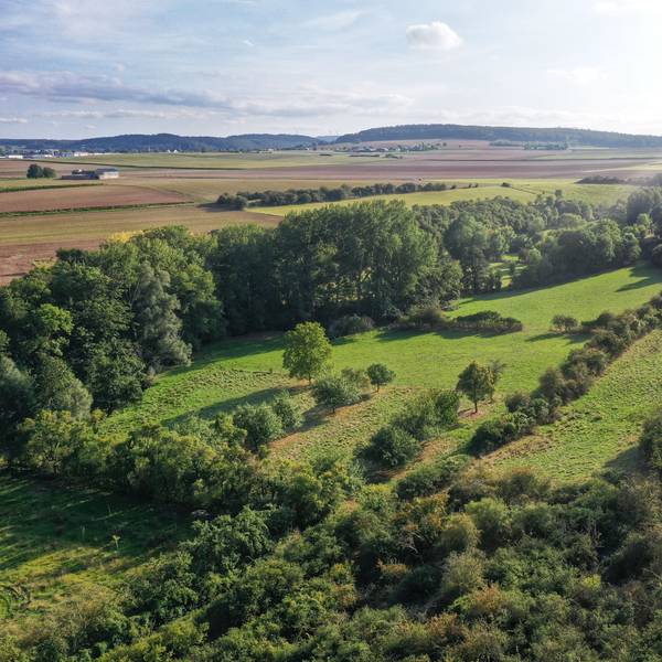 Eine Luftaufnahme zeigt das Rotbachtal, zu sehen sind Wiesen, Felder, Büsche und Bäume.