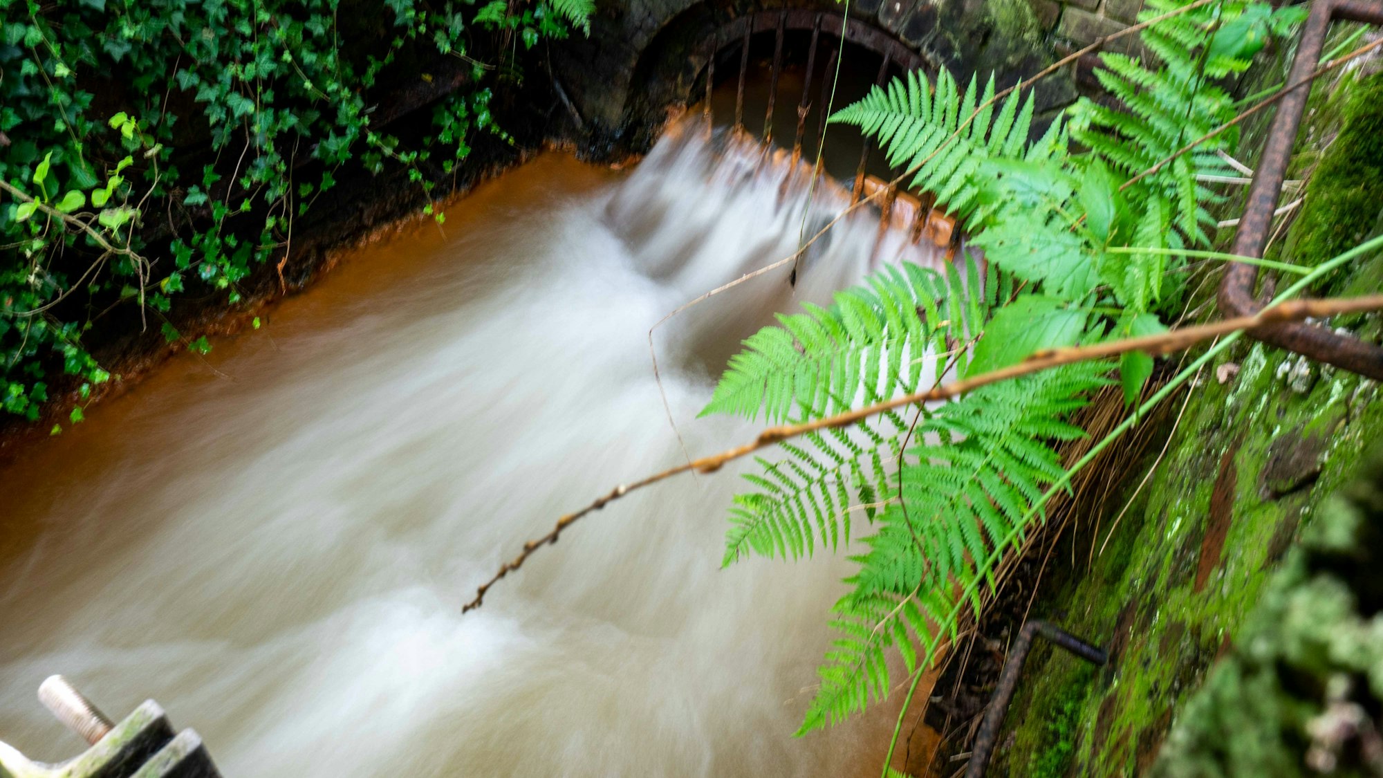 Das Bild zeigt das sogenannte Mundloch des Burgfeyer Stollens und das Wasser, das dort in den Veybach läuft.