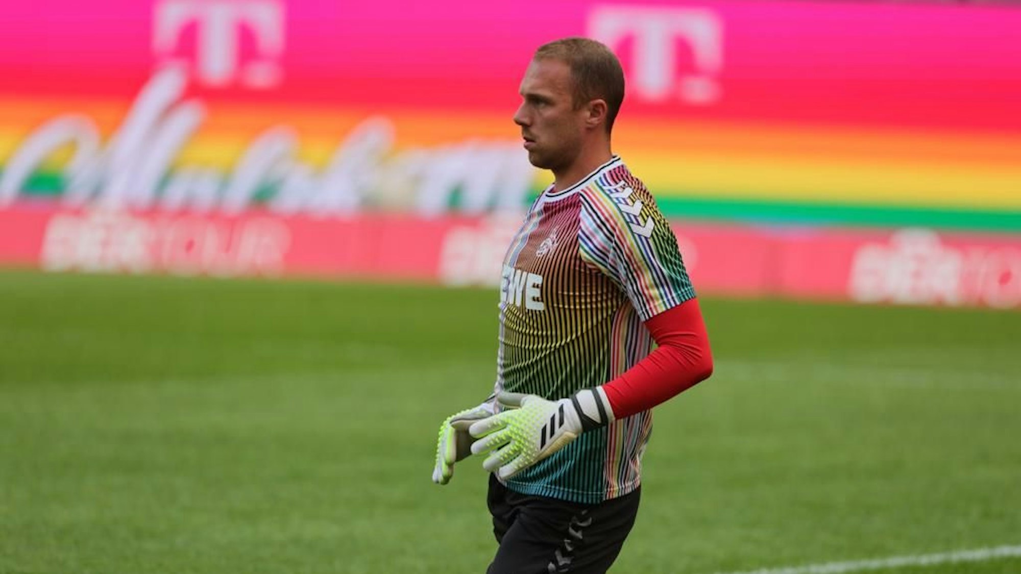 Schwäbe in Aufwärmshirt in Regenbigenfarben