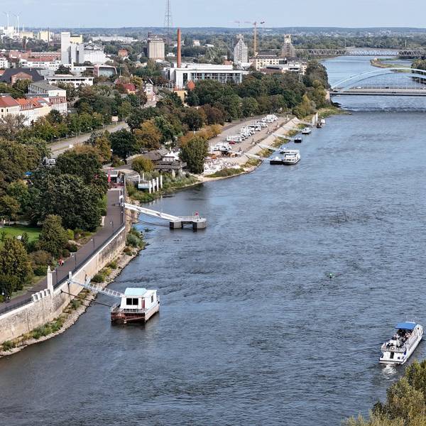 Magdeburg in Sachsen-Anhalt im September: Ein Fahrgastschiff der Weissen Flotte, fährt auf der Elbe stromabwärts auf der Stadtstrecke.