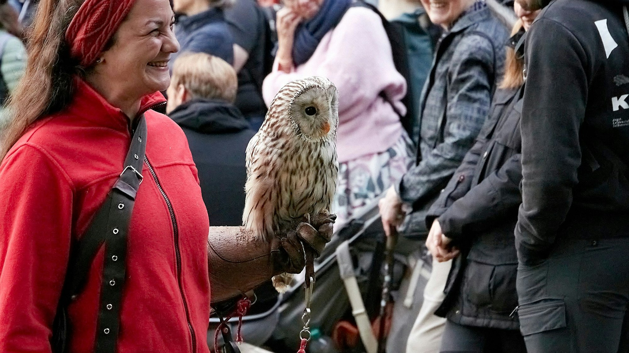 Eine lächelnde Falknerin zeigt dem Publikum eine Schleiereule, die auf ihrer Hand sitzt.