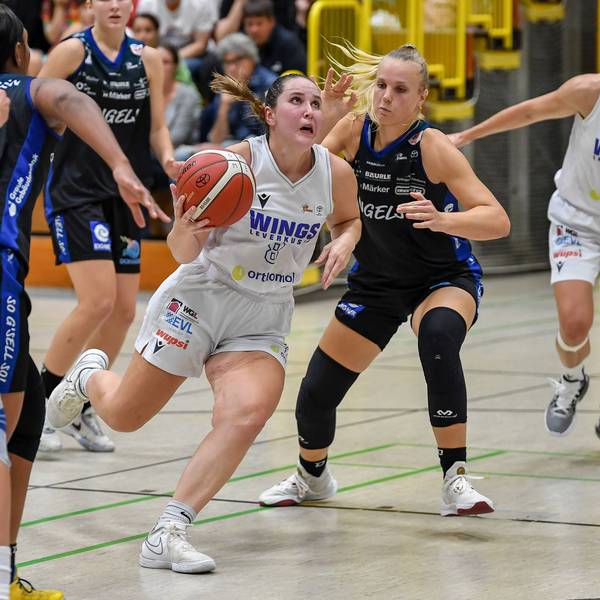 1. Damen Basketball Bundesliga: Orthomol WINGS Leverkusen vs. EIGNER Angels Noerdlingen, 30.09.2023 Sarah Gates Orthomol WINGS Leverkusen 8, 1. Damen Basketball Bundesliga: Orthomol WINGS Leverkusen vs. EIGNER Angels Noerdlingen am 30.09.2023 in der Sporthalle Werner-Heisenberg-Gymnasium in Opladen Nordrhein-Westfalen *** 1 Womens Basketball Bundesliga Orthomol WINGS Leverkusen vs EIGNER Angels Noerdlingen, 30 09 2023 Sarah Gates Orthomol WINGS Leverkusen 8 , 1 Womens Basketball Bundesliga Orthomol WINGS Leverkusen vs EIGNER Angels Noerdlingen on 30 09 2023 in the Werner Heisenberg Gymnasium sports hall in Opladen North Rhine Westphalia Copyright: xBEAUTIFULxSPORTS/Mueller-Laschetx