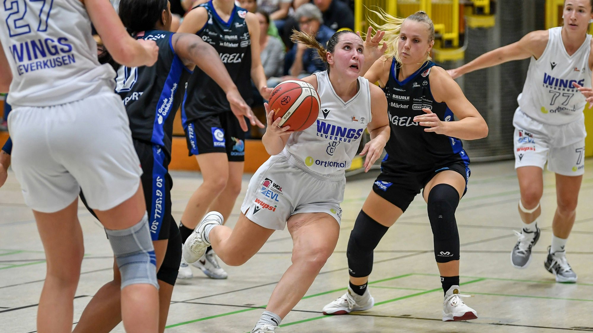 1. Damen Basketball Bundesliga: Orthomol WINGS Leverkusen vs. EIGNER Angels Noerdlingen, 30.09.2023 Sarah Gates Orthomol WINGS Leverkusen 8, 1. Damen Basketball Bundesliga: Orthomol WINGS Leverkusen vs. EIGNER Angels Noerdlingen am 30.09.2023 in der Sporthalle Werner-Heisenberg-Gymnasium in Opladen Nordrhein-Westfalen *** 1 Womens Basketball Bundesliga Orthomol WINGS Leverkusen vs EIGNER Angels Noerdlingen, 30 09 2023 Sarah Gates Orthomol WINGS Leverkusen 8 , 1 Womens Basketball Bundesliga Orthomol WINGS Leverkusen vs EIGNER Angels Noerdlingen on 30 09 2023 in the Werner Heisenberg Gymnasium sports hall in Opladen North Rhine Westphalia Copyright: xBEAUTIFULxSPORTS/Mueller-Laschetx