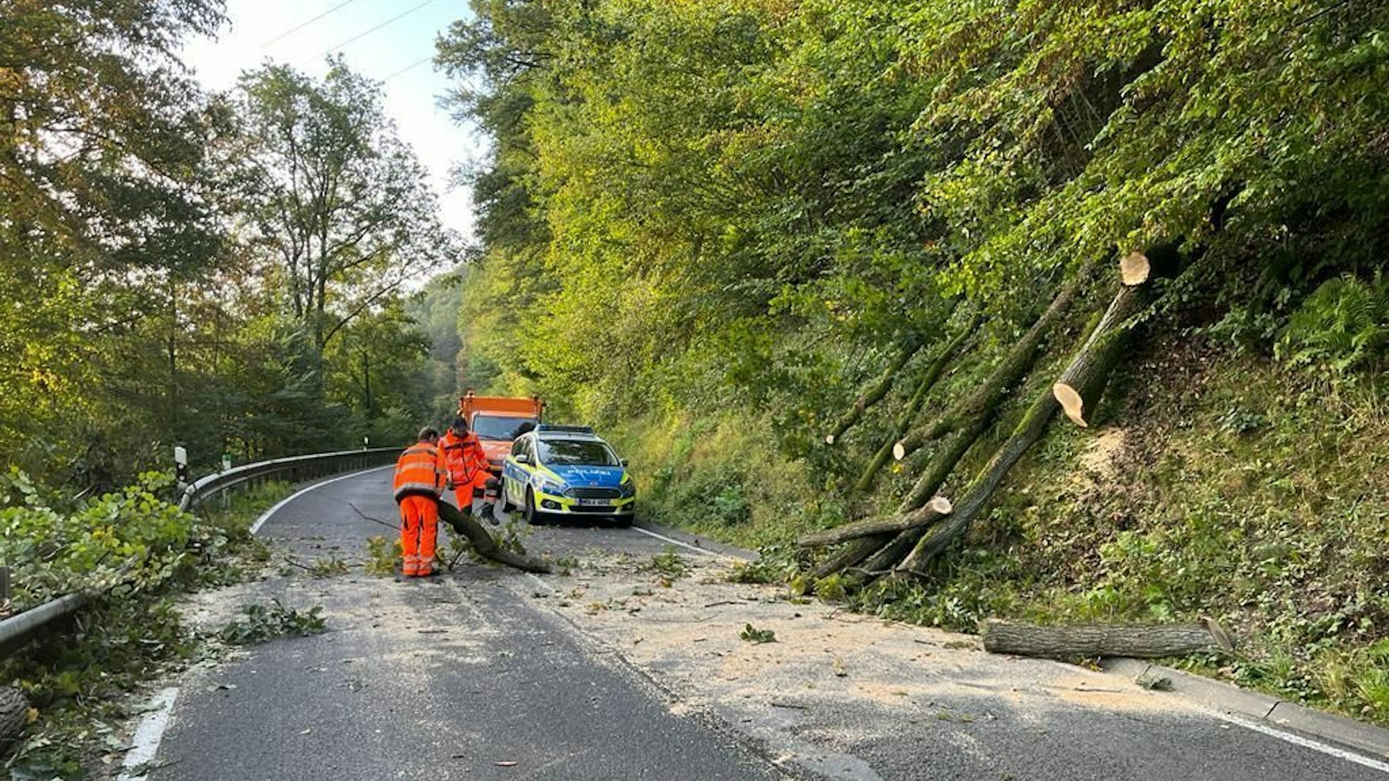 Eine Eiche ist aus dem Hang an den L333 zwischen Hennef und Eitorf auf die Straße gestürzt.