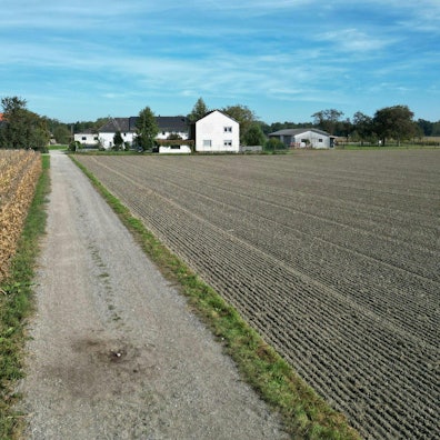 Ein Feldweg in Naarn