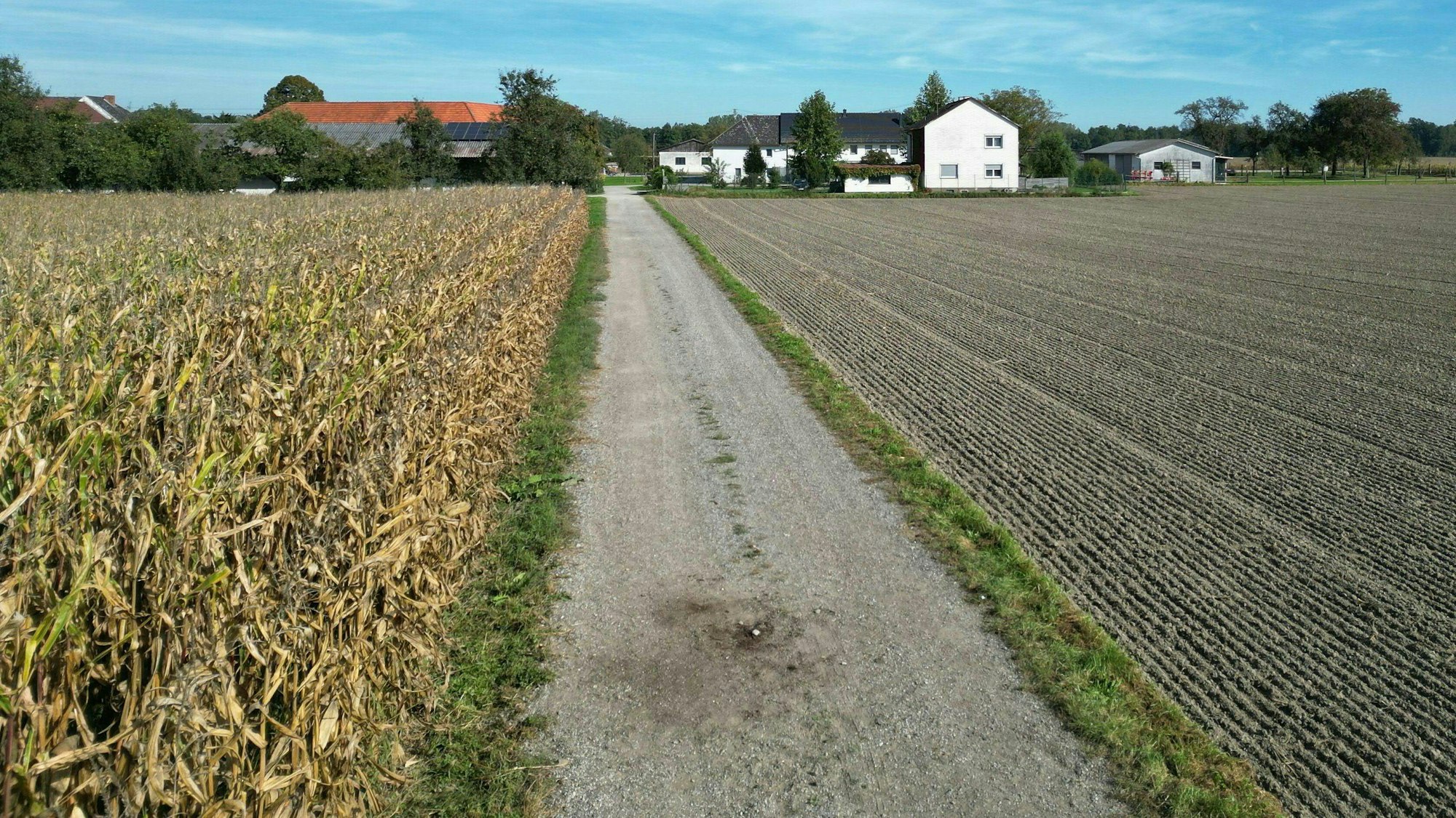 Ein Feldweg in Naarn
