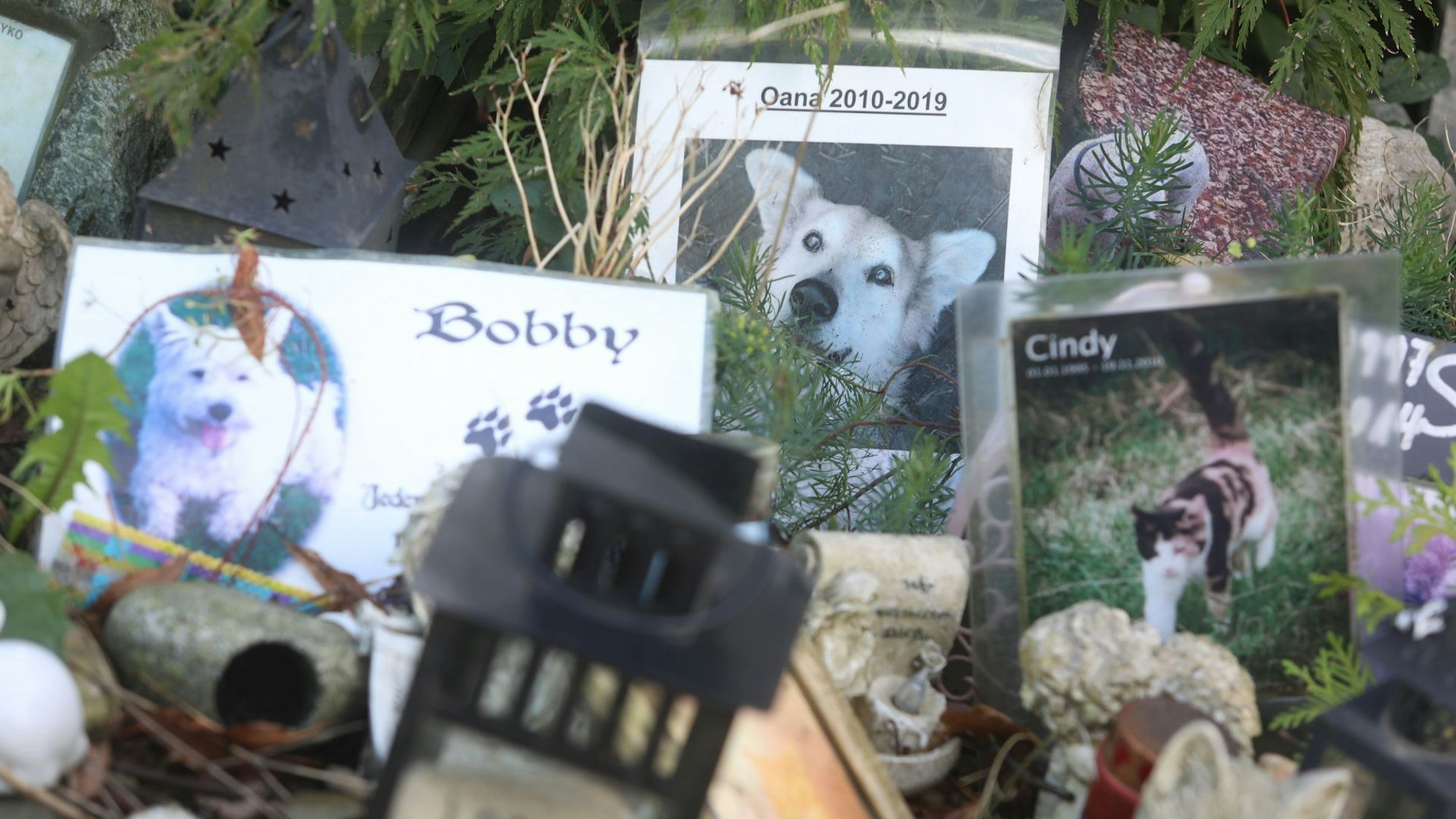 Tierfriedhof in Königswinter-Oberpleis