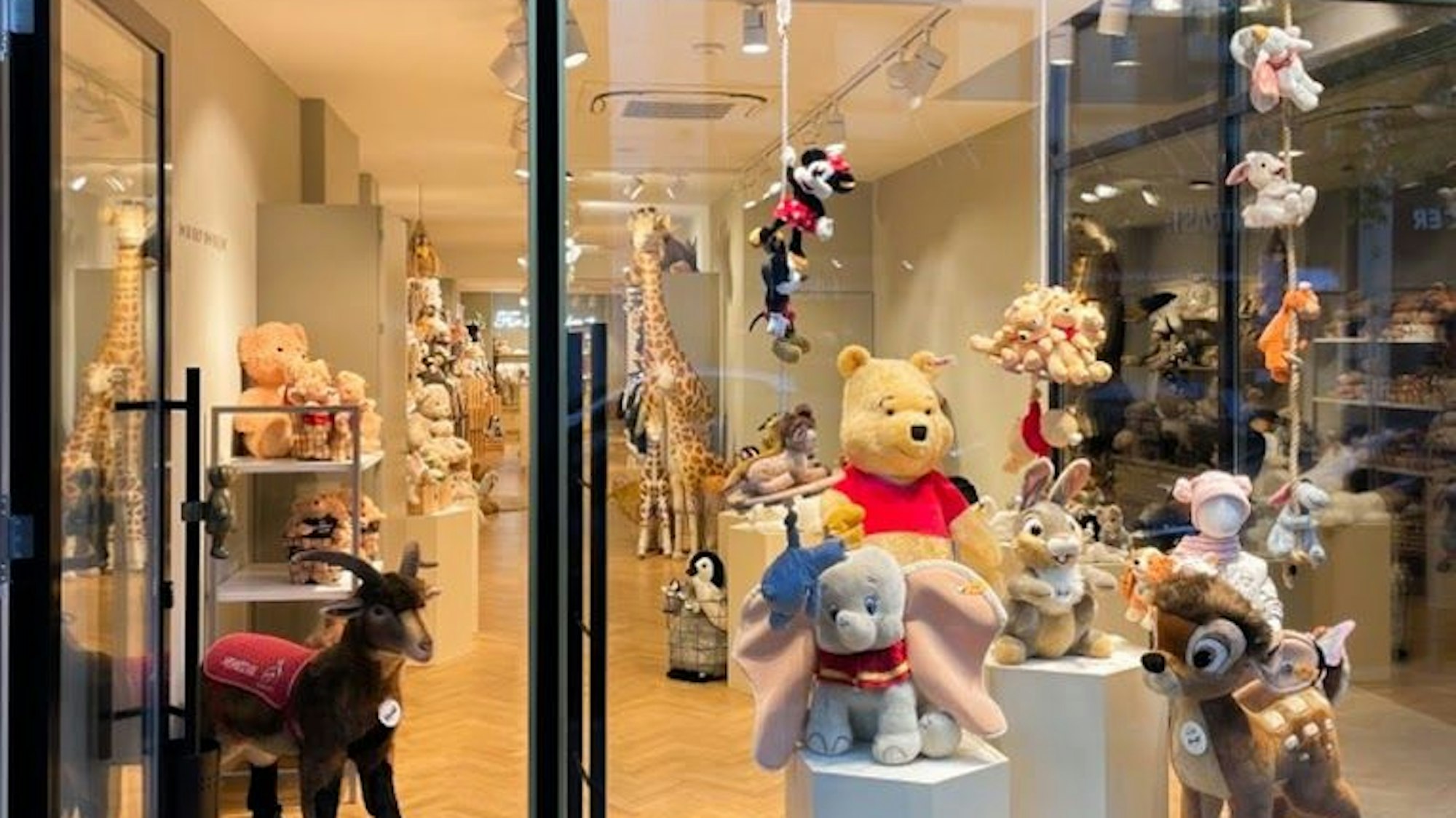 Das Schaufenster des Steifftier-Fachgeschäftes