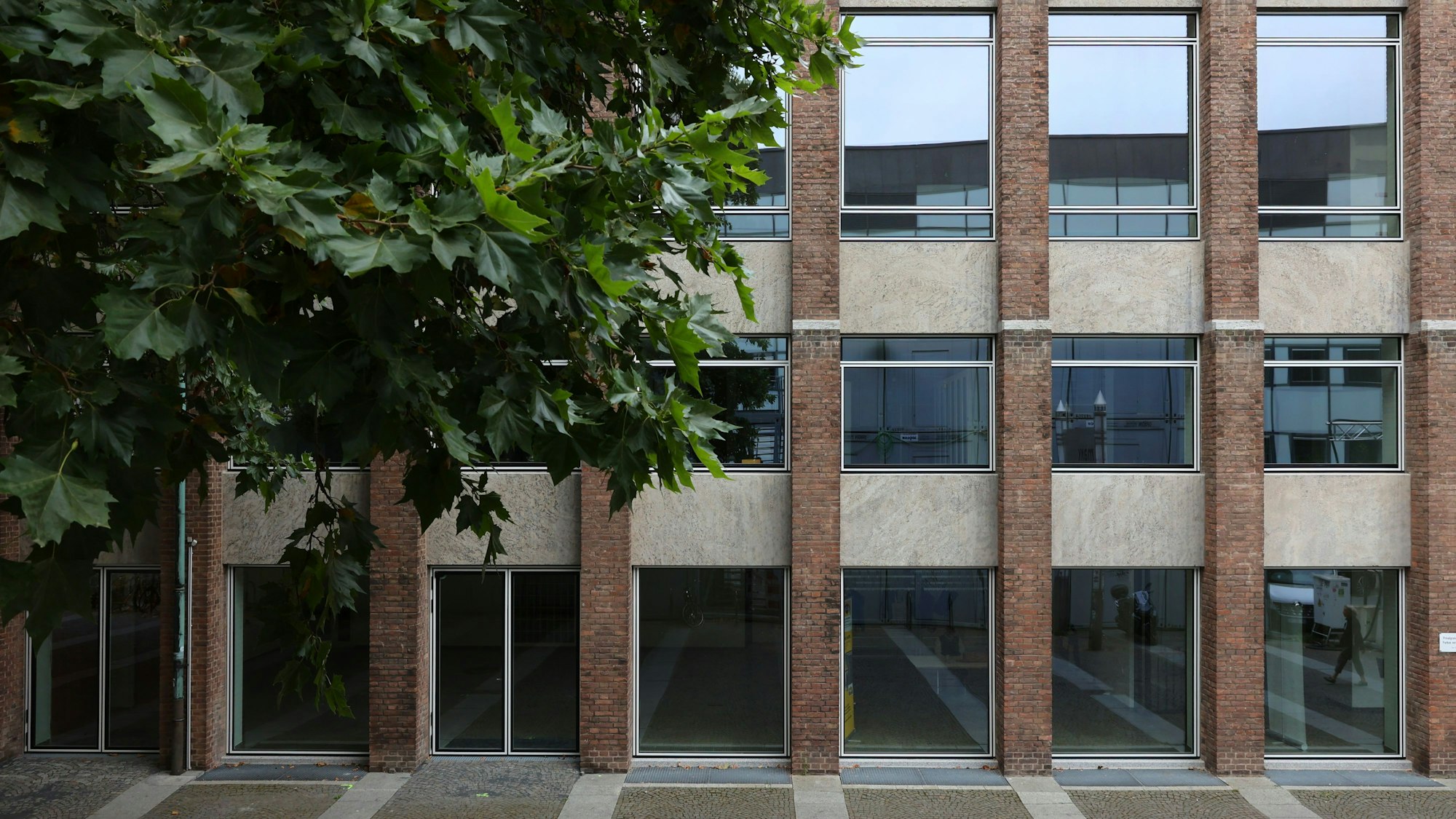 Die Fenster im Museum für angewandte Kunst sollen bis Jahresende fertig saniert sein.