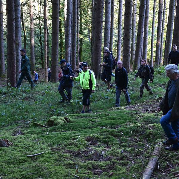 Freiwillige suchen gemeinsam mit der Polizei nach der vermissten Lina im Elsass. Die 15-Jährige war in der Nähe eines Waldstücks Ende September bei Saint-Blaise-la-Roche verschwunden.
