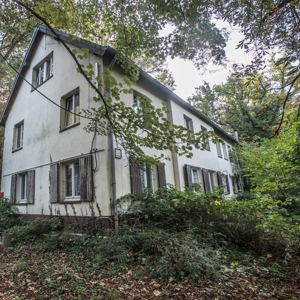 Ein Haus in einem Wald.