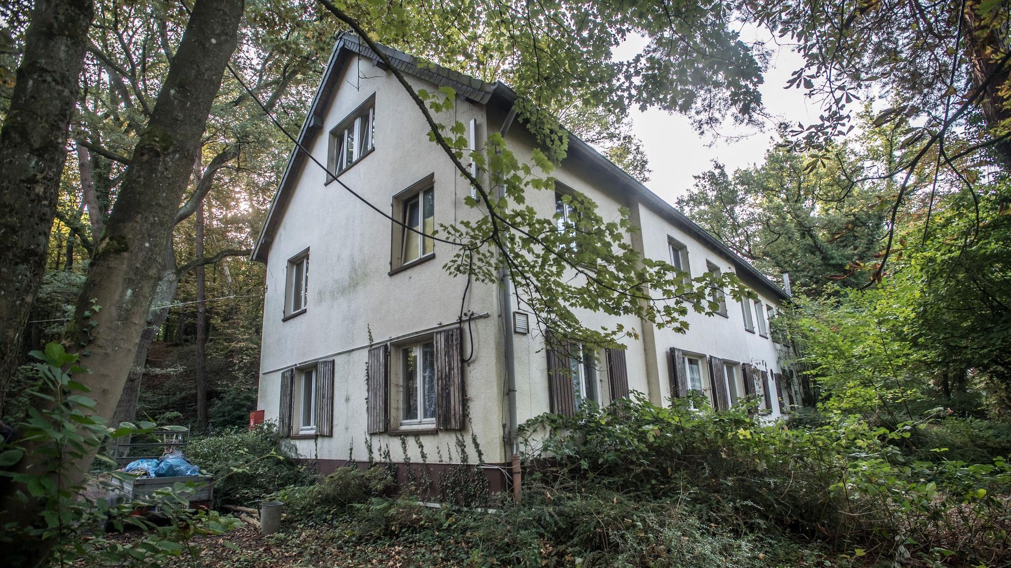 Ein Haus in einem Wald.