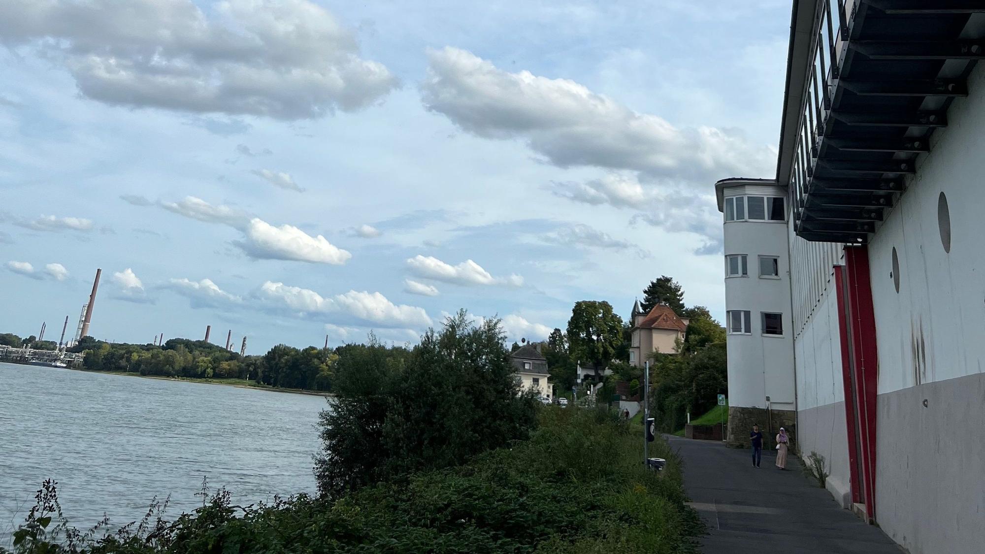 Das Bild zeigt das Rheinufer bei Wesseling.