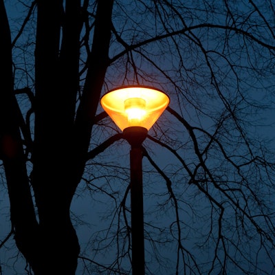 Eine Straßenlaterne erleuchtet einen kahlen Baum