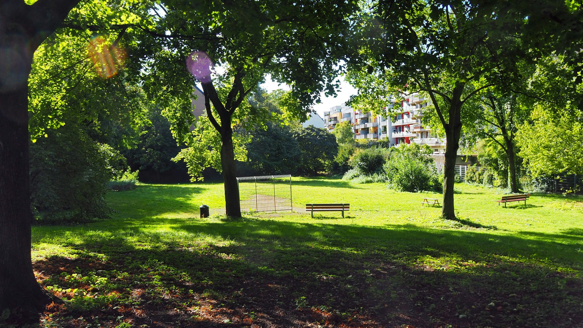 Eine grüne Wiese mit zwei Toren ist zu sehen. Im Hintergrund sind Wohnblocks.
