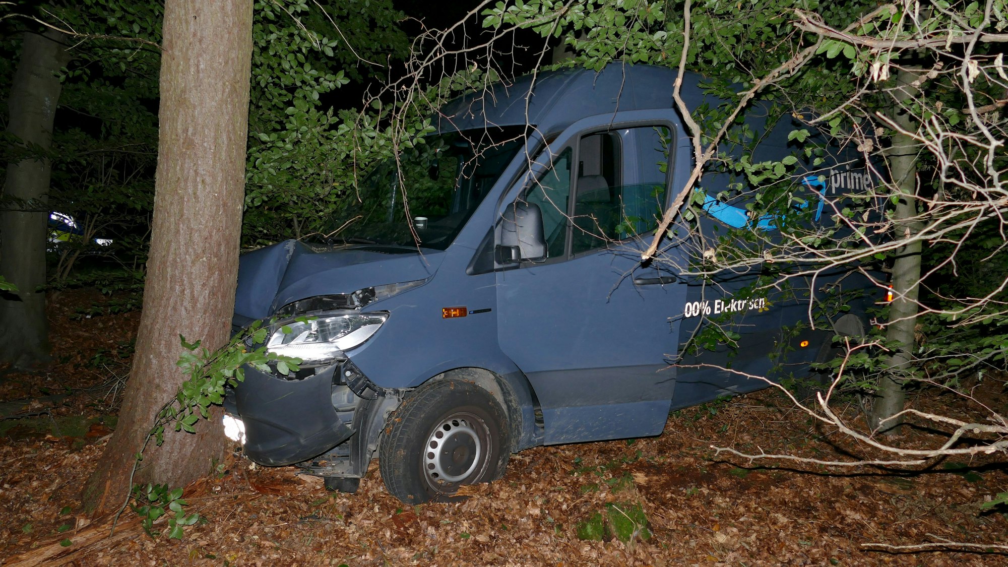 Ein dunkelblauer Transporter steht vor einem Baum.