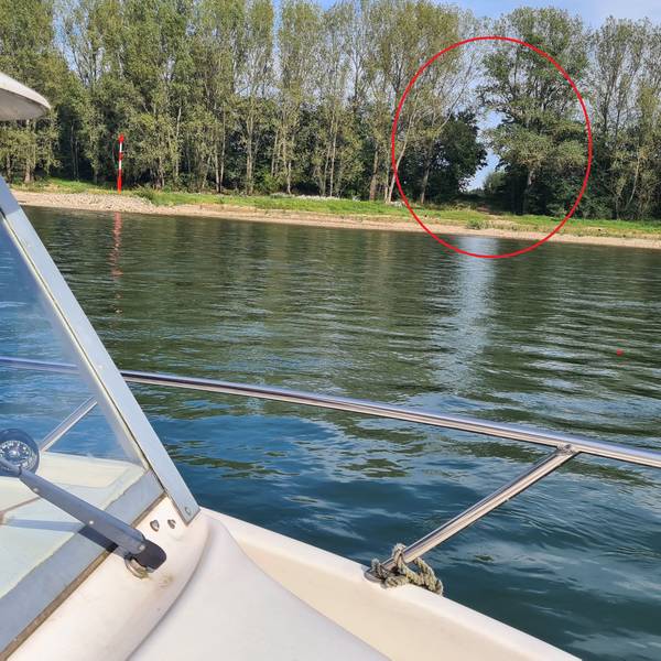 Vom Boot aus fotografiert ist ein Teil des Boots, der Rhein und eine Schneise am Ufer zu sehen.