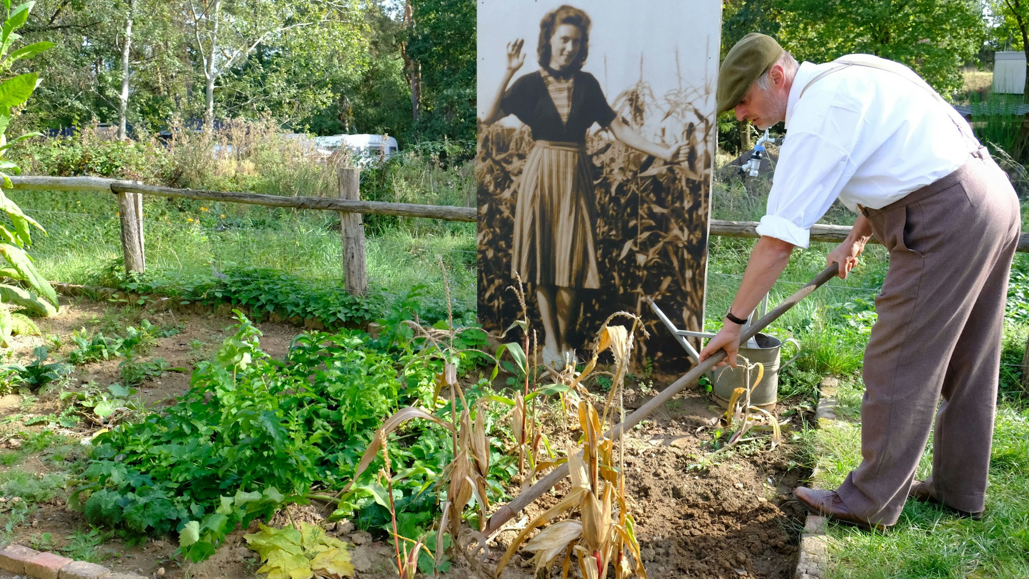 Peter Lenz arbeitet mit einem weißen Hemd und einer Kappe auf dem Kopf im Nutzgarten. Im Hintergrund ist ein Foto von Gisela Schmidt als junge Frau im Garten zu sehen.
