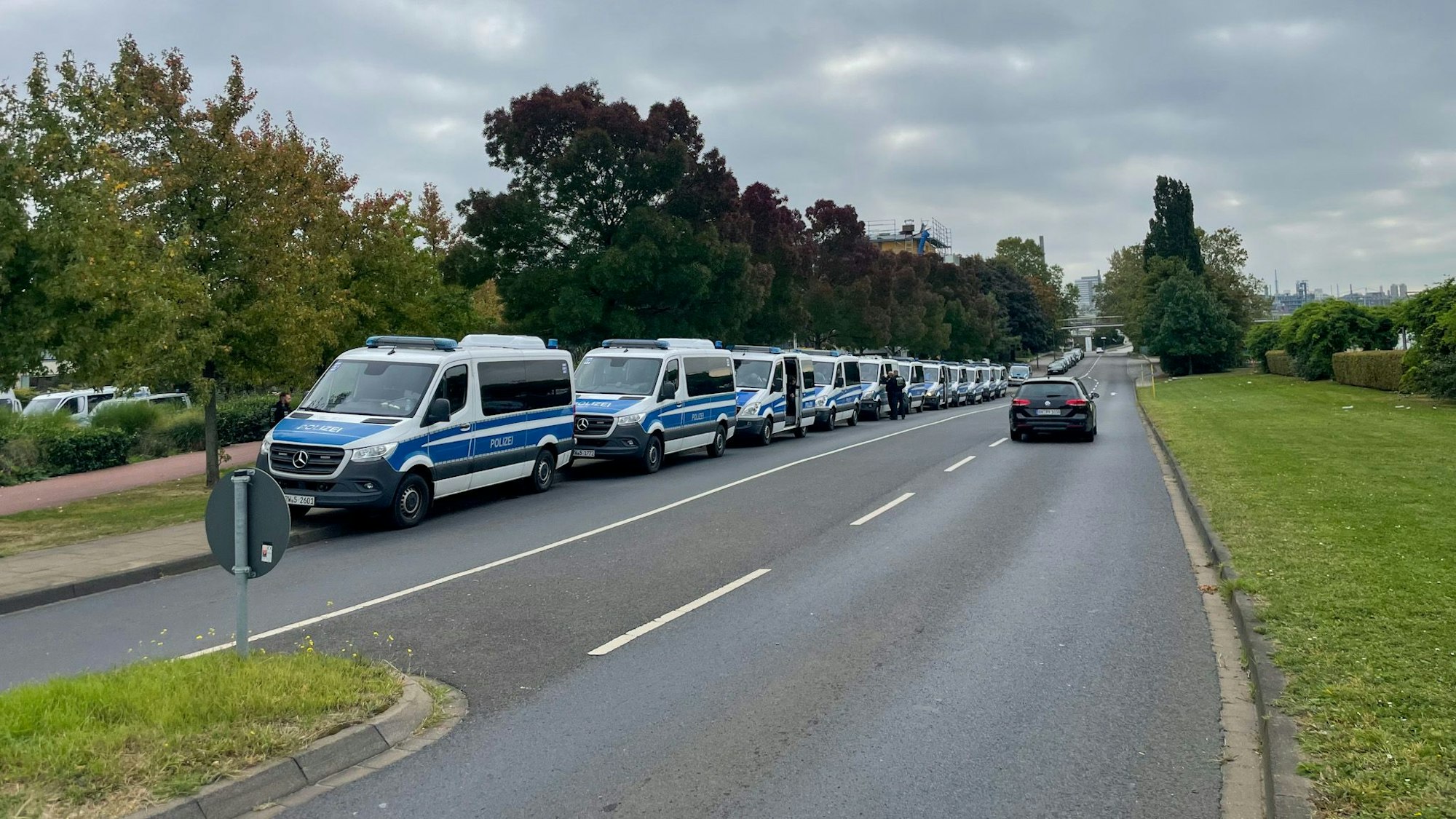 Polizeiautos an einer Straße.