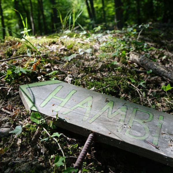 Ein Schild liegt auf Waldboden.