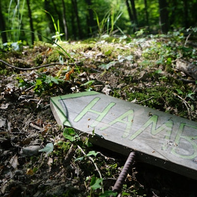 Ein Schild liegt auf Waldboden.