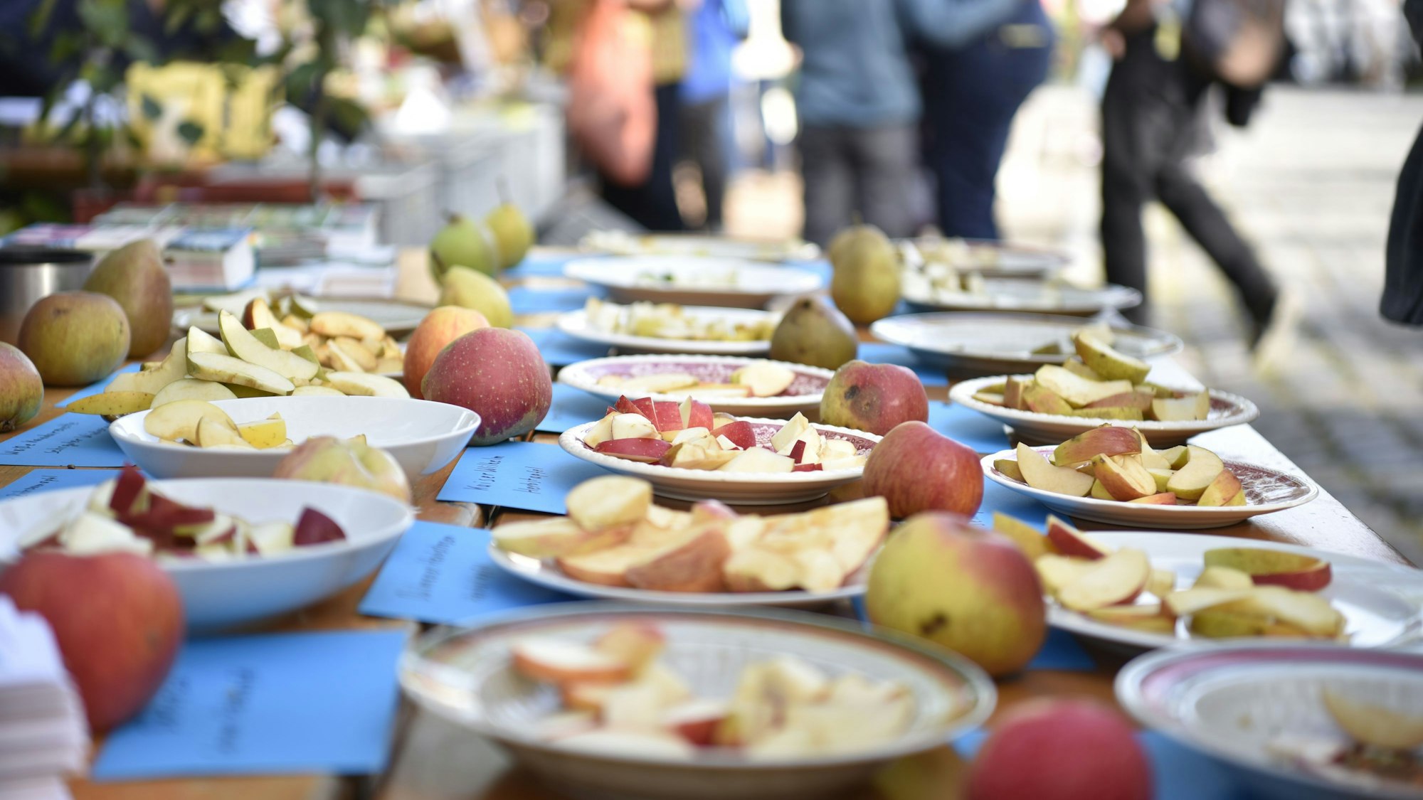 Auf einem Tisch sind verschiedene Apfelsorten zum Probieren auf Tellern angerichtet worden.