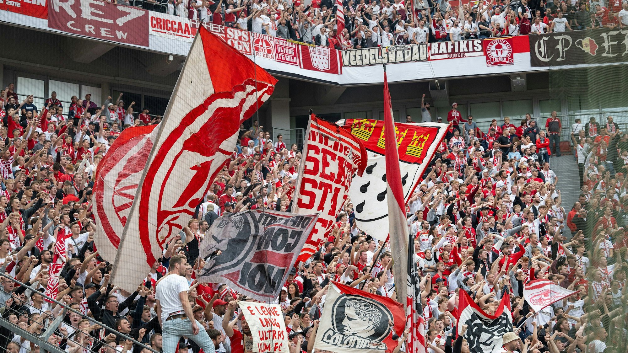 Kölner Fans machen Stimmung beim Spiel ihres FC in Leverkusen.