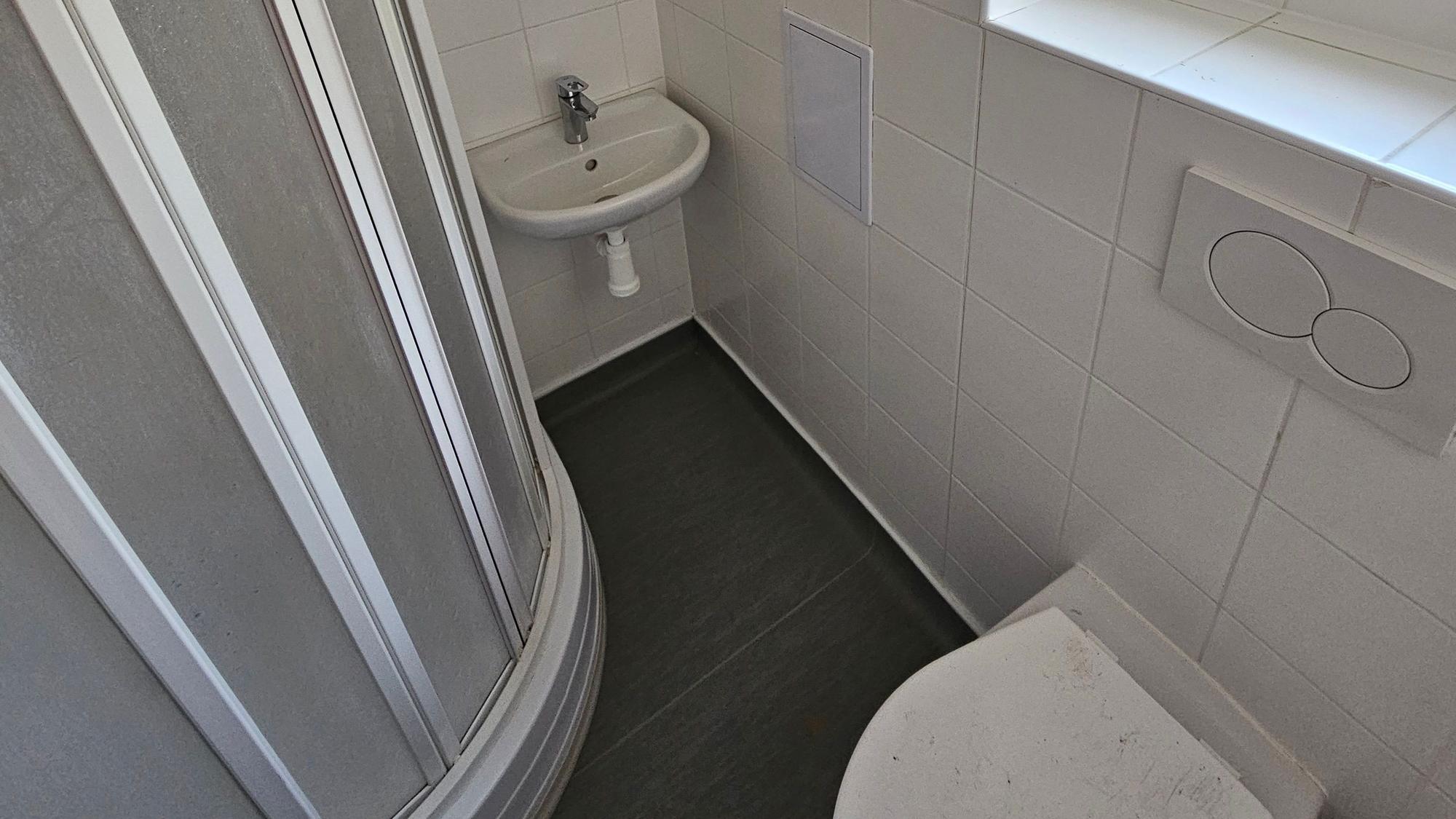 Zu sehen ist ein Waschbecken, eine Dusche und eine Toilette.