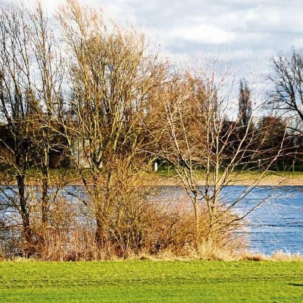 Ein Mann läuft mit seinem Hund auf einen Fluss zu.