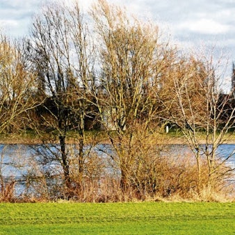 Ein Mann läuft mit seinem Hund auf einen Fluss zu.