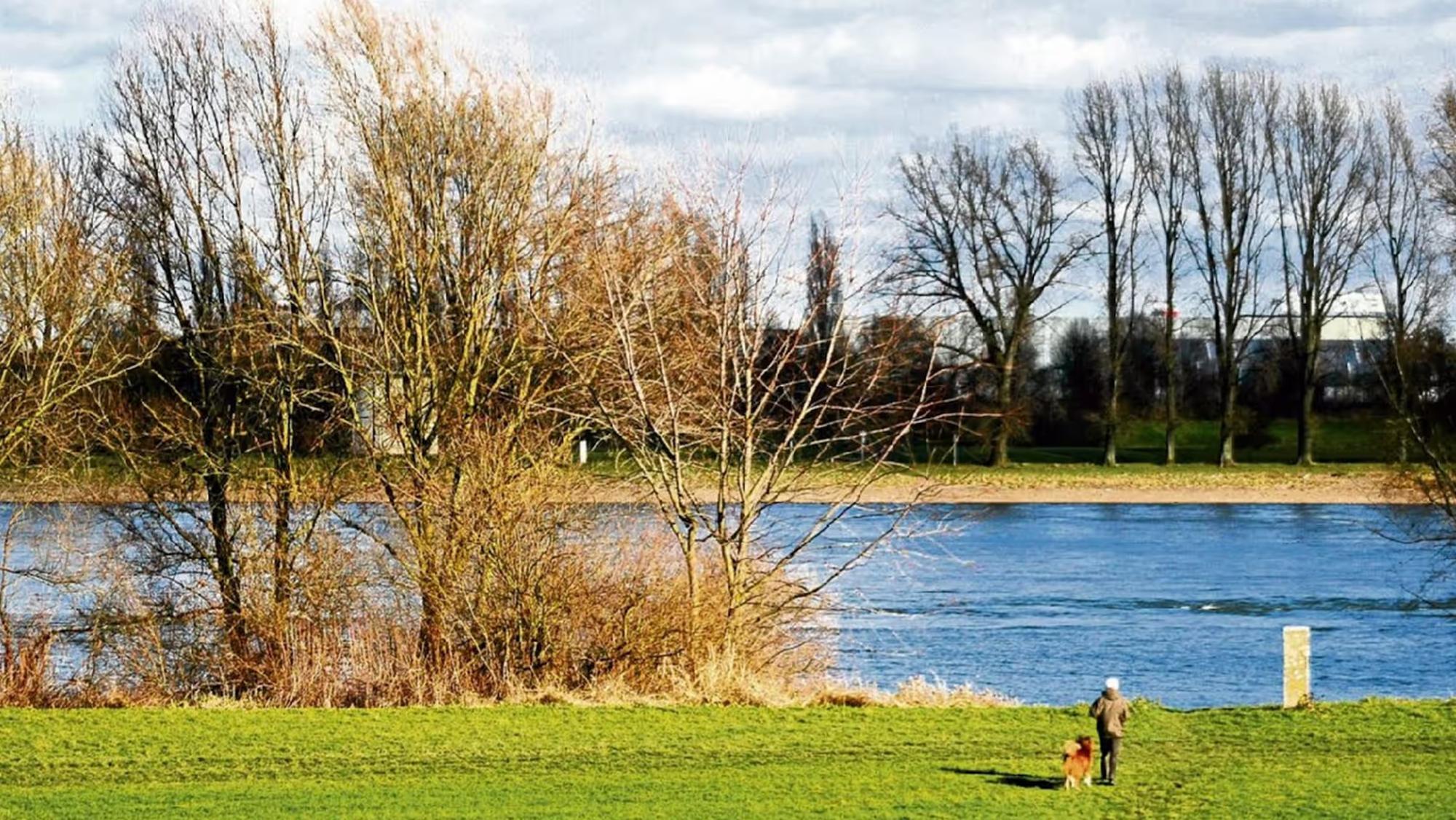 Ein Mann läuft mit seinem Hund auf einen Fluss zu.