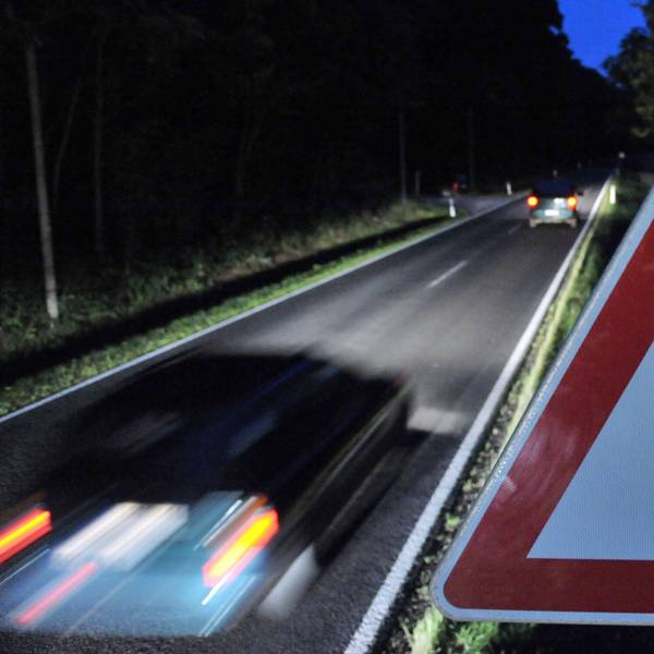 Ein „Achtung Wild!“-Verkehrszeichen steht am Rand einer Straße, auf der ein Auto fährt.