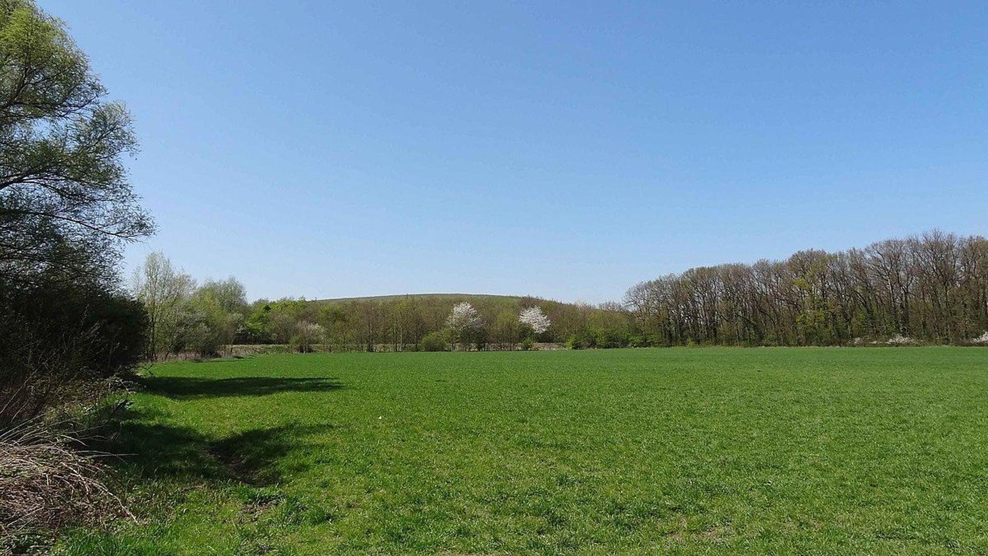Hundeauslauffläche im Grünen