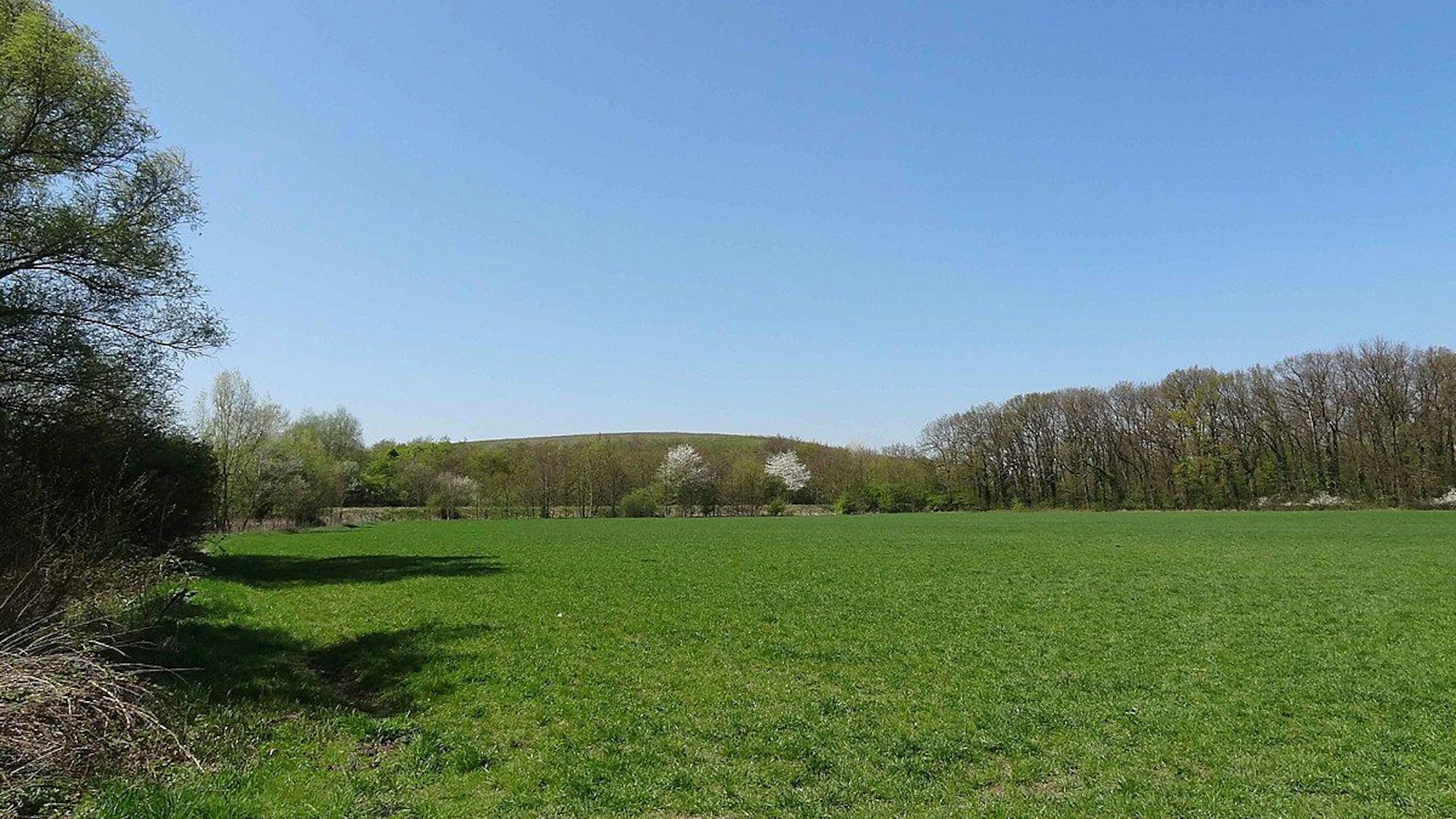 Hundeauslauffläche im Grünen