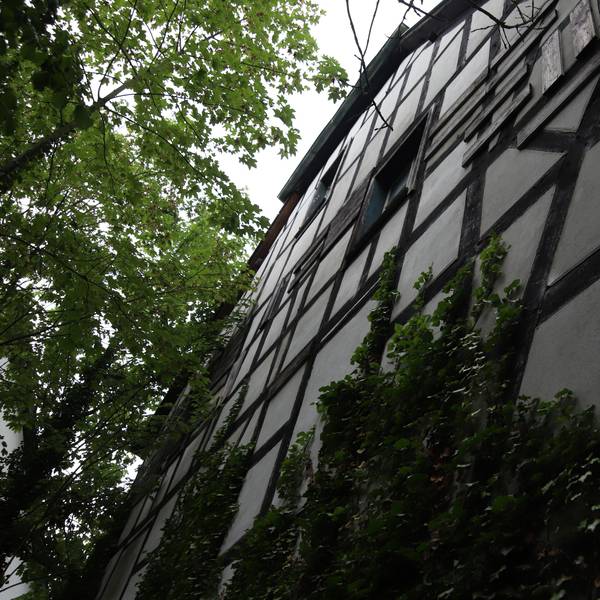 Die Fachwerkfassade von der Gartenseite. Vor lauter Grün ist von der Straße aus kaum noch was zu sehen von Balken und Gefachen.
