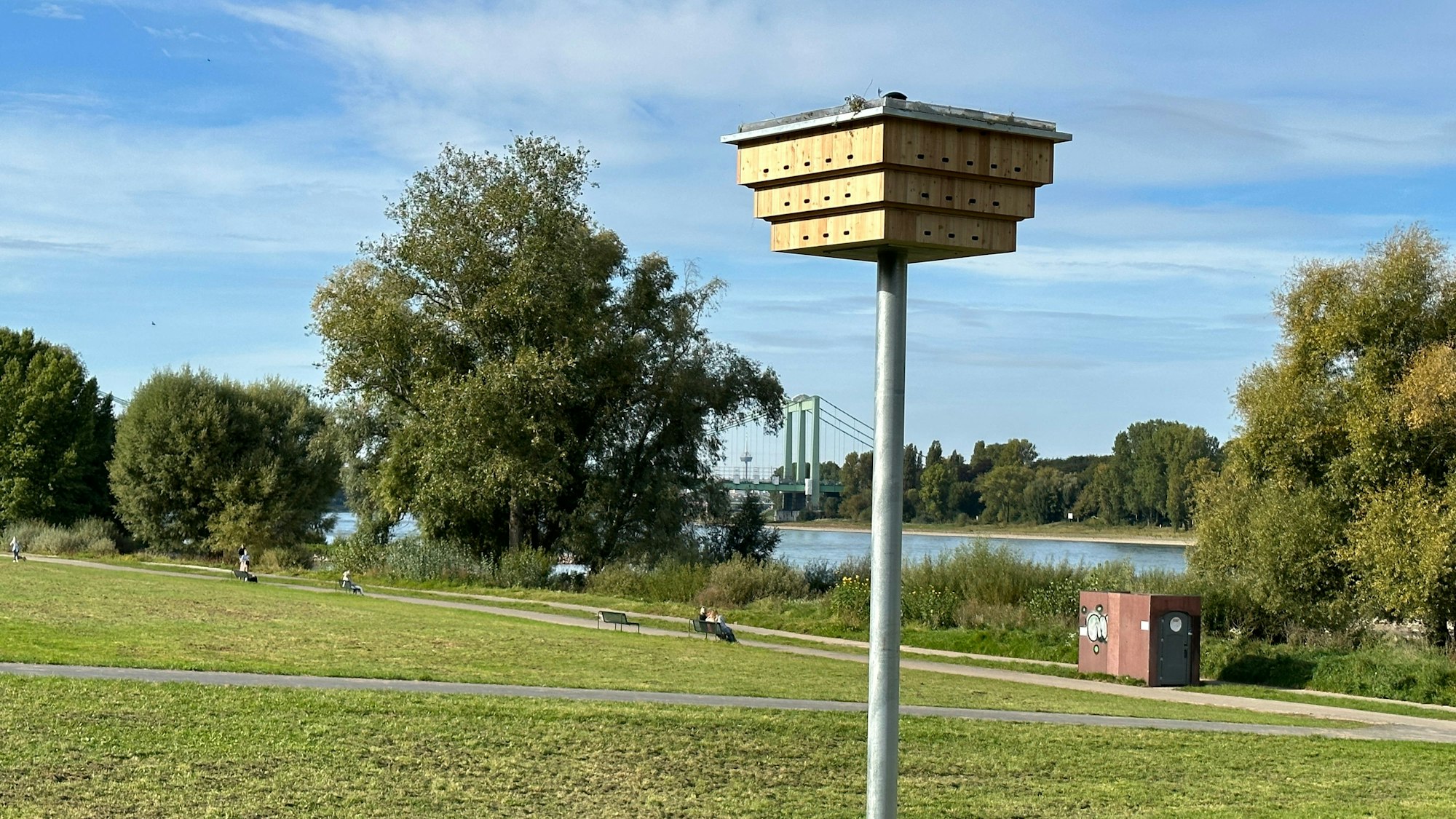 Am Rheinufer steht ein Nistplatz auf Stelzen.