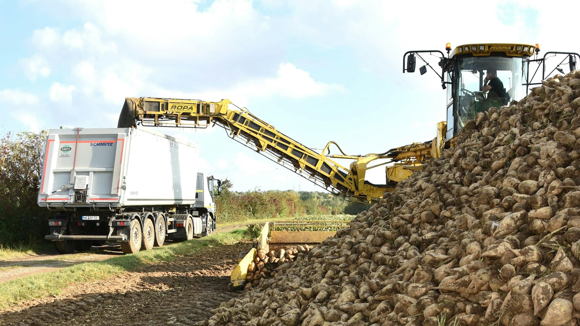 Die Rübenernte hat begonnen.